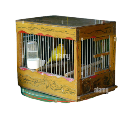 CAGE GIPSY