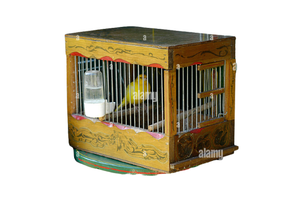 CAGE GIPSY