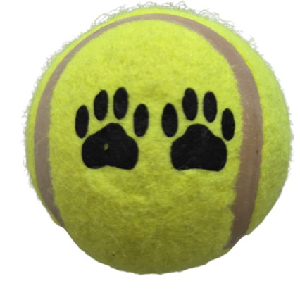 BALLE DE TENIIS FOR CAT ANIMALIE 3,