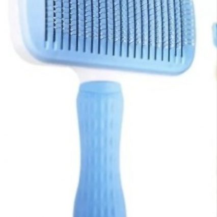 BROSSE BOUTON PF