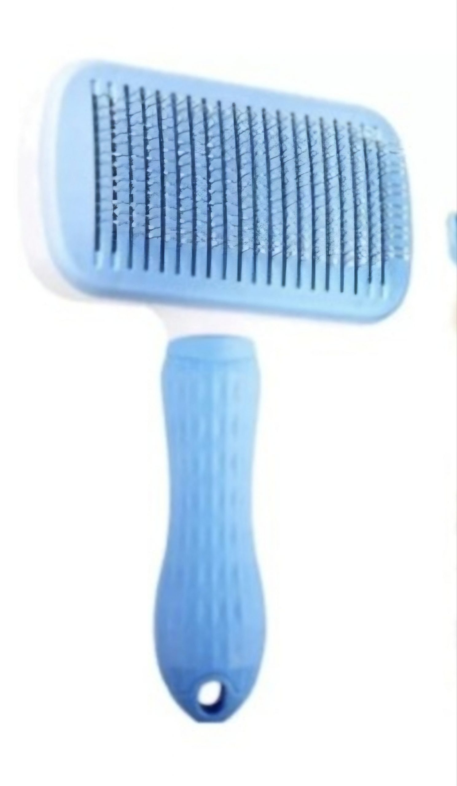 BROSSE BOUTON PF