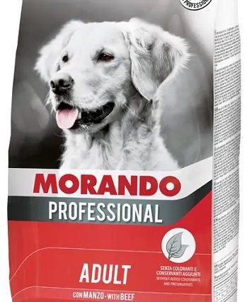 MORANDO PROFESSIONNEL CANE MANZO 4k