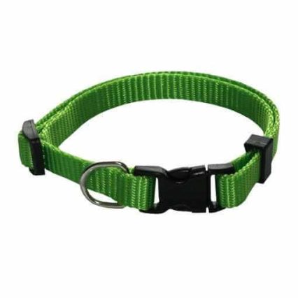 FELICAN Premium collier chien UNI Vert