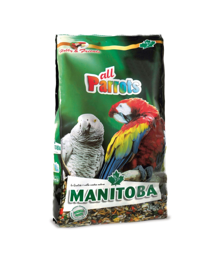 Manitoba Perroquet VRAC