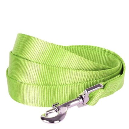 LAISSE NYLON 19 MM VERT CITRON