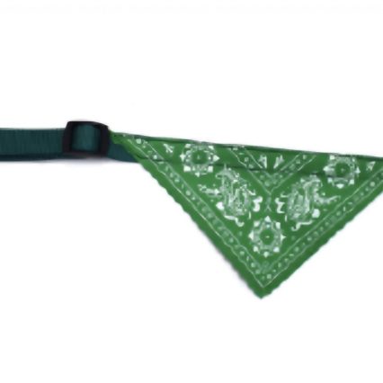 RECORD Collier BANDANA Vert 1,9x40-