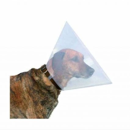 RECORD Collier de Protection transparent