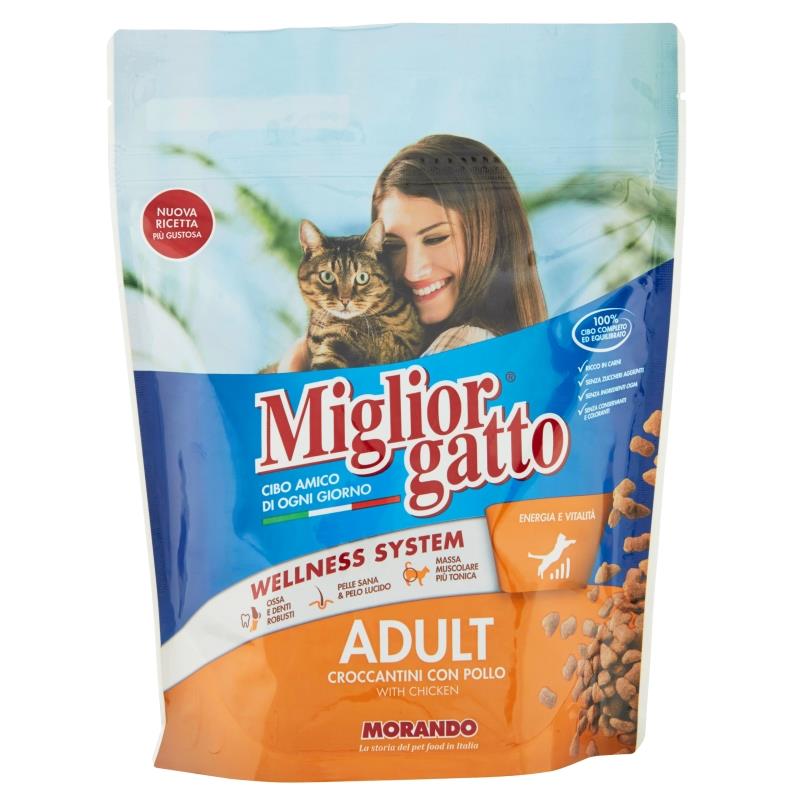 Miglior gatto professionnel Junior