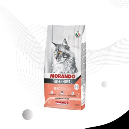 Miglior gatto professionnel salmone