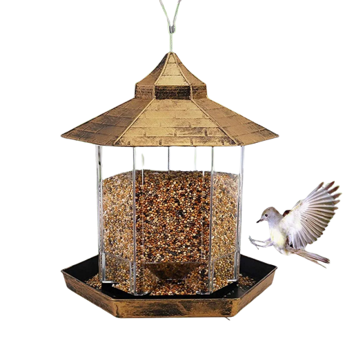 MANGOIRE OISEAUX PREMIUM EXTERNE
