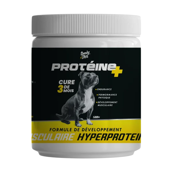 S&D PROTEINE Plus 500g