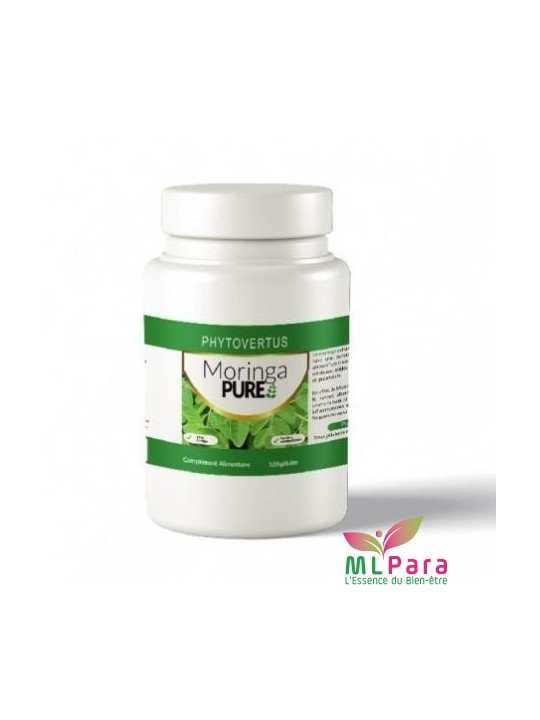 PHYTOVERTUS MORINGA PUR BT/120 GEL