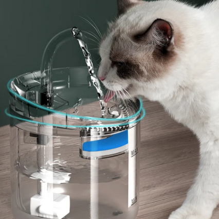 Fontaine à eau automatique pour chat/chien