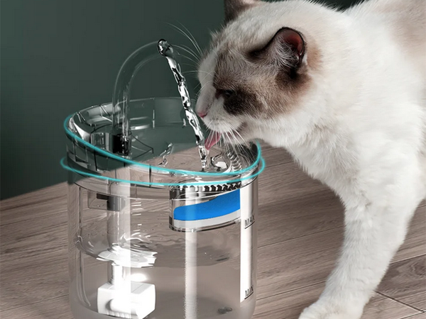 Fontaine à eau automatique pour chat/chien